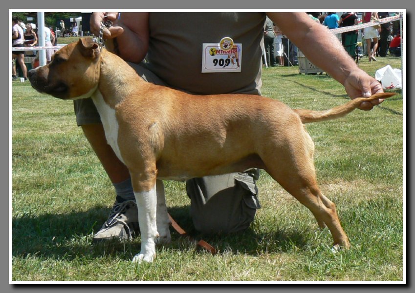fotografie